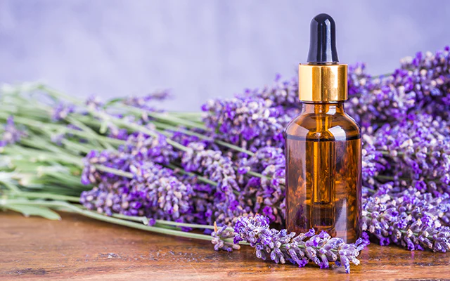 Lavender Oil: Relaxing and Skin-Soothing