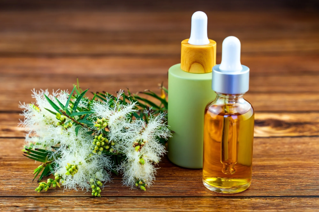 Tea Tree Oil: Antibacterial and Antifungal Properties